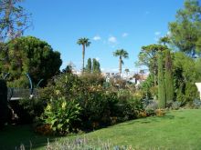 В парке Феникс (Города французской Ривьеры)