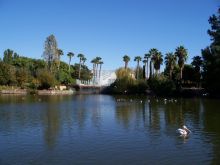 Пруд в парке Феникс (Города французской Ривьеры)