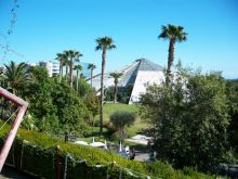 Парк Феникс, под стеклянным куполом оранжерея