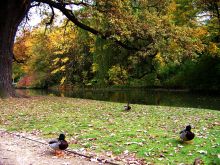 Парк в Дрездене (Германия)