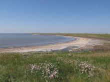 Берег Утлюкского лимана недалеко от Кирилловки (Запорожская область)