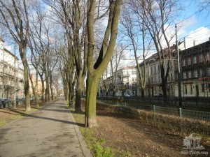 Бульвар Dietla, отделяющий Старый город от района Казимеж (Польша)