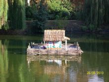Лебединый домик в центре пруда в комплексе "Миргородская лужа" (Полтава и область)