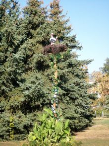  (Полтава и область)