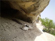 Мангуп. Сейчас здесь живут монахи, ведя незамысловатое хозяйство (Крым)