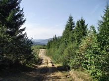  (Карпаты и Закарпатье)