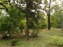 Ботанический сад им. Мечникова (Одесса и область)