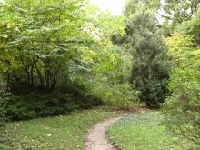 В саду почти все тропинки грунтовые или выложены камнем (Одесса и область)