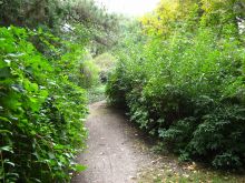 В одесском ботаническом саду (Одесса и область)