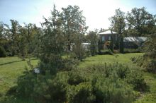 Это не просто парк - местные растения по своему уникальны - во многих местах Вы сможете увидеть таблички с названиями - как в ботаническом саду (Киев и область)