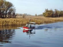 Еще один кораблик совершает путешествие по речным джунглям (Другие)