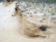 Единственная в Европе пустыня Олешковские пески находится недалеко от Аскании-Нова (Другие)