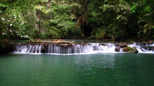 Национальный парк Бок Хорани в Краби. (Тайланд)