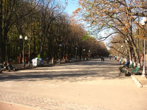 Главная аллея парка Горького осенью (Харьков и область)