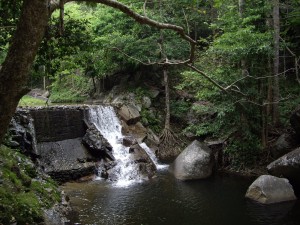 Национальный парк Хуай Янг в окрестностях курорта Хуа Хин (Тайланд)