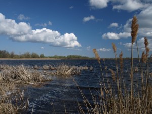 Новая Басань - живописное место в окрестностях Прилук (Чернигов и область)