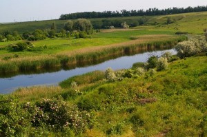 "Хомутовская степь". Берега речки Грузский Еланчик