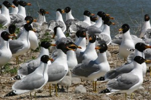  (Донецк и область)