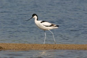  (Донецк и область)