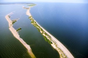 Песчаные косы заповедника "Меотида"