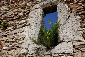 Поросший травой оконный проем в замке Медведград (Хорватия)