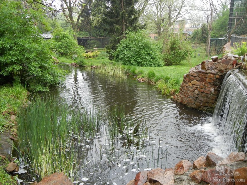 Фото достопримечательностей Чехии: Озеро с водопадом для птиц. Чем не заповедная зона!