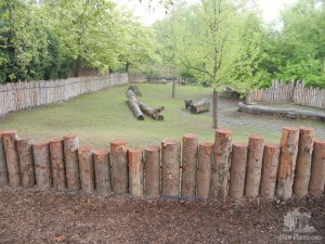 Здесь живут тапиры.  (Чехия)