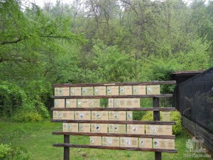 Информационное табло для помощи животным (Чехия)