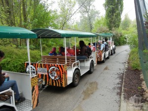 Вагончики экскурсионного электромобиля (Чехия)