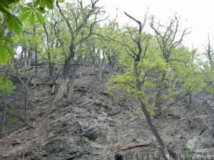 Скалистая местность для горных коз (Чехия)