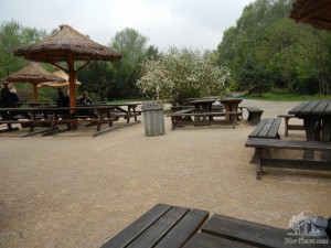 Зона отдыха и перекуса. Никакой музыки, только щебет птиц (Чехия)