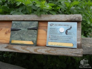 Табло, на котором можно разглядеть клюв и услышать голос птицы (Чехия)