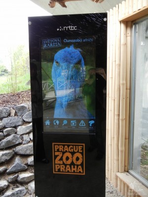 Видео-презентация о китоглавах (Чехия)