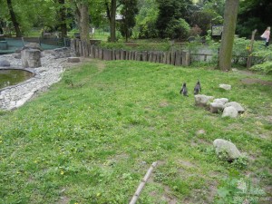 Павильон с пингвинами (Чехия)