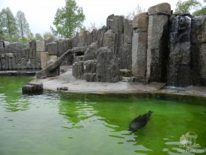 Зона морского котика (Чехия)