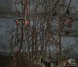 Летучие мыши в открытом павильоне. Пролетают на расстоянии сантиметра от головы (Чехия)