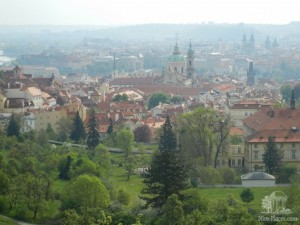 Вид со смотровой площадки Страговского монастыря у виноградника (Чехия)