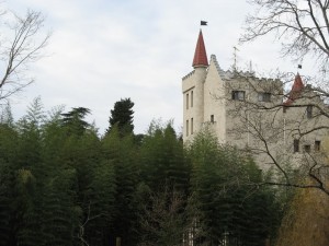 Замок в бамбуковой роще