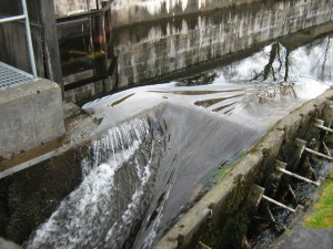 Родниковая гора, бегущая с шотландских гор