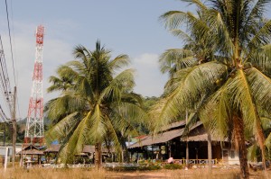 Пальмы и традиционные бунгало (Тайланд)