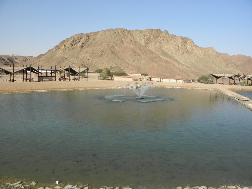 Фото достопримечательностей Израиля: Озеро Тмина на территории одноименного национального парка