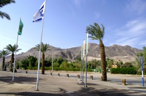 Скудная растительность Эйлата (Израиль)