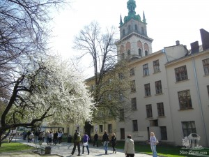 Музейная площадь и башня Корнякта (Львов и область)