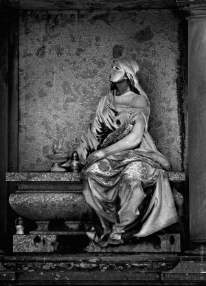  (Львов и область)