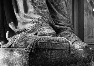  (Львов и область)