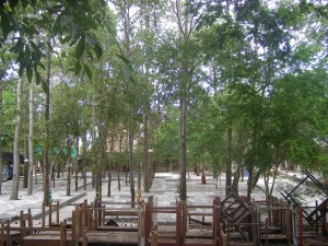 Территория буддистского храма, где обучаются тайские школьники (Тайланд)