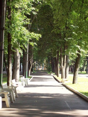 Аллея в Люблинском парке (Москва и Подмосковье)