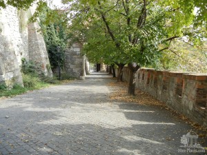Аллея вдоль стен и бойниц Братиславской крепости (Словакия)
