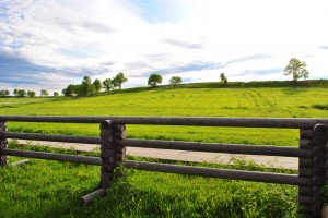 Зеленые луга на острове Кижи