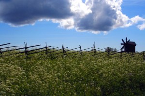 Грозовое небо, мельница и тын (Карелия)